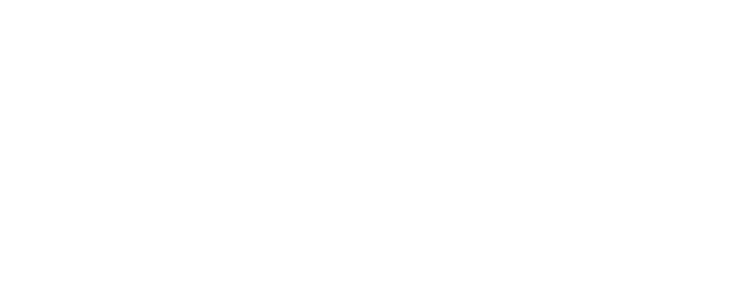 Log Asintec Web